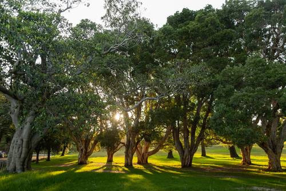 Centennial Parklands